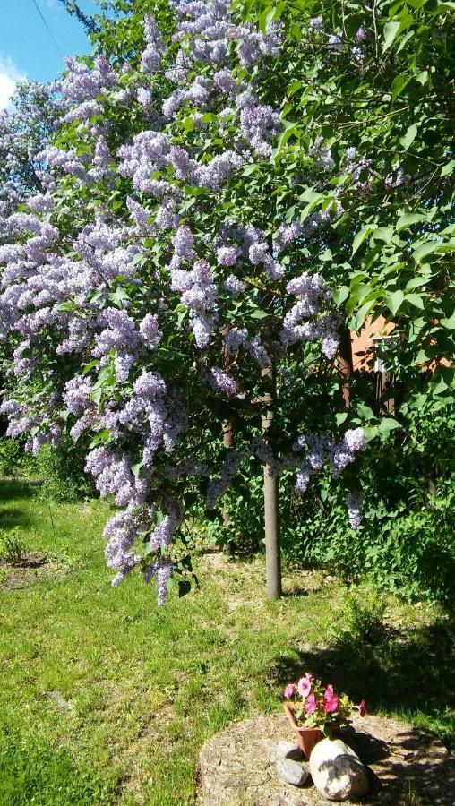 Searooms Lapmezciems Ngoại thất bức ảnh